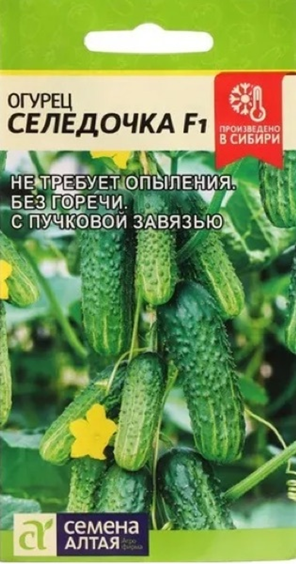 Огурец Селедочка F1