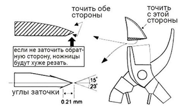 Ревизия садового инструмента: готовим секаторы и сучкорезы к сезону обрезки и прививки