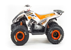 Квадроцикл MOTOLAND 125 Coyote (2021 Г.)