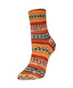 Пряжа Rellana Flotte Socke 4f. Legato (3063)