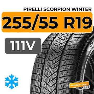 Pirelli Scorpion Winter 255/55 R19 111V XL