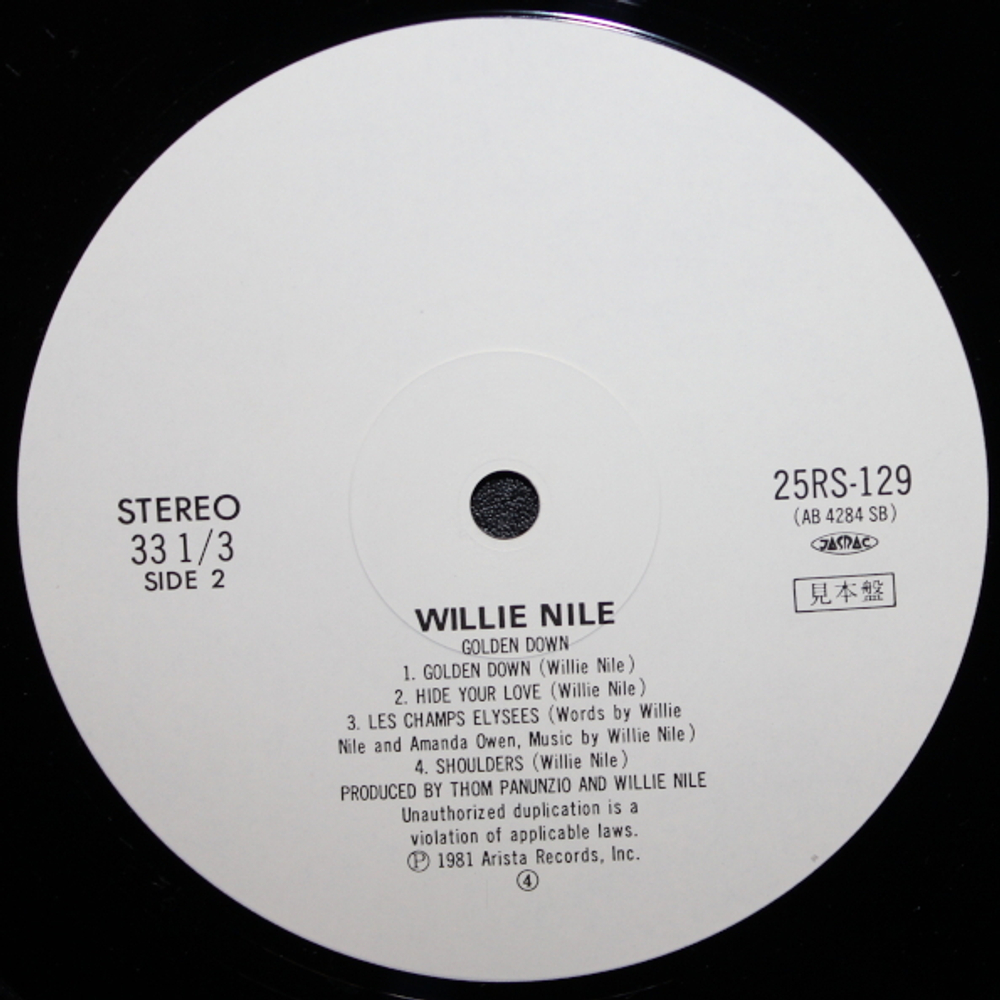 Willie Nile / Golden Down (LP)