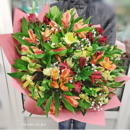 Букет из 13 альстромерий