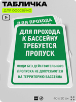 Табличка для бассейна "Для прохода к бассейну требуется пропуск", на пляж, для общественной и частной зоны отдыха, информационная, 40х30 см, Silver Plane x Айдентика Технолоджи