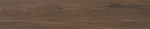 STN Ceramica Dexter Nogal 22.7x119.5