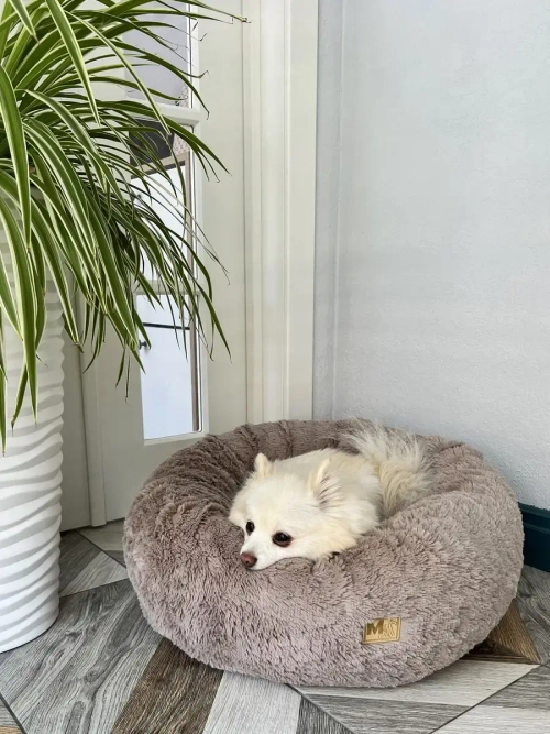 Лежанка для кошек лежак для собак домик