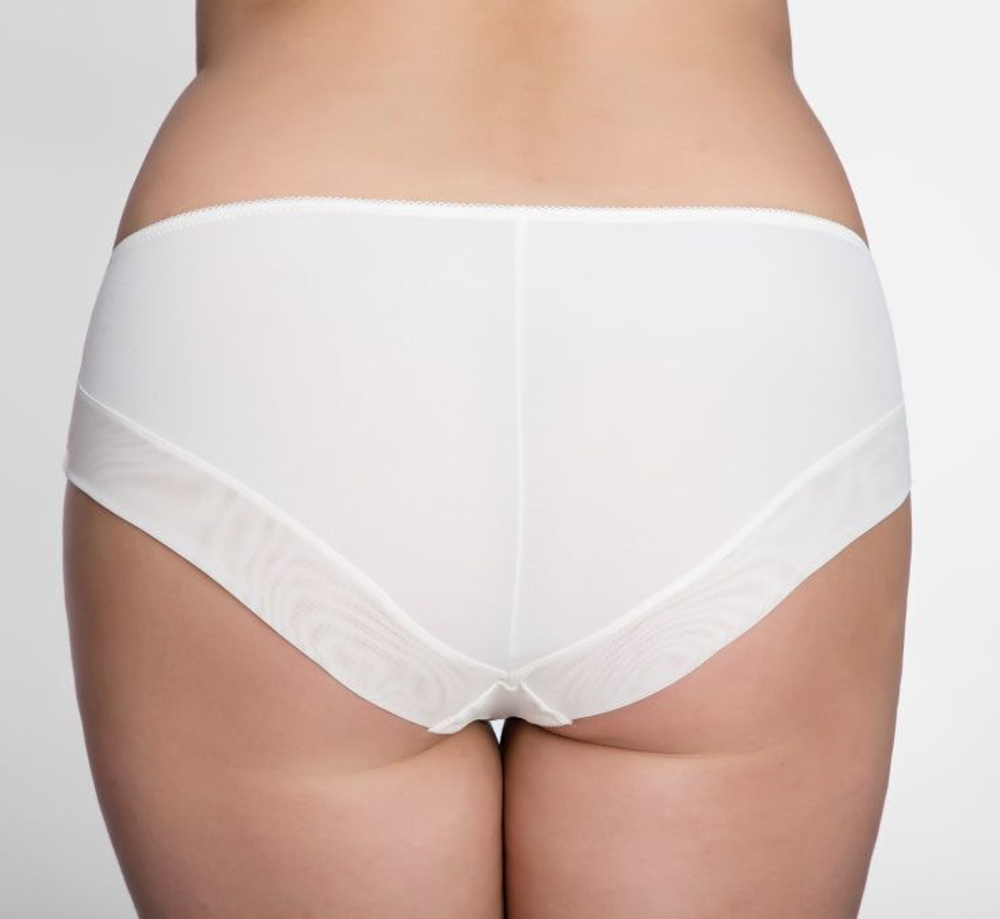 Трусики-слипы из микрофибры и полупрозрачной сетки (Размер: 6X) (Цвет: черный)