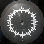 Rammstein / XXI (Limited Edition)(14LP)