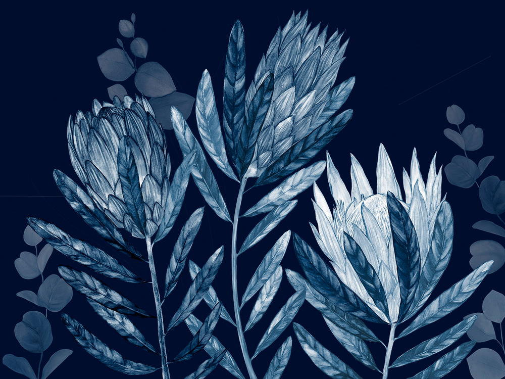 Дизайнерские обои Wall Street Herbarium