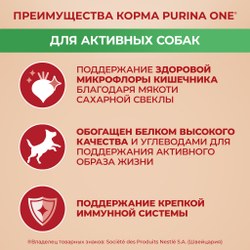 Сухой корм Purina ONE МИНИ для собак мелких и карликовых пород, с курицей и с рисом, 1.5кг