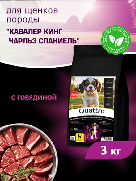 Корм сухой для щенков породы Кавалер кинг чарльз спаниель, с говядиной, 3 кг, QUATTRO