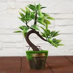 Бонсай в горшке "Осенний" 7x20 см, микс