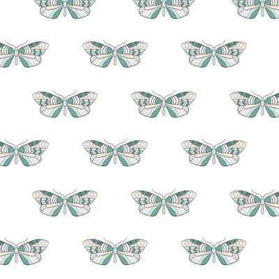 Маленькие бабочки на белом