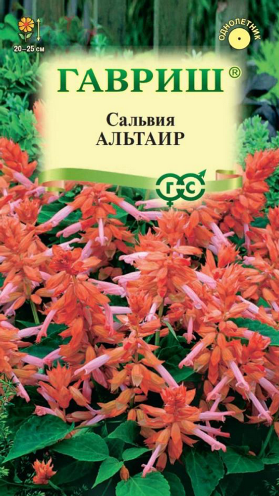 Сальвия &quot;Альтаир&quot; 4шт, Россия.