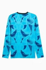 Вратарская кофта Puma teamTarget - синий