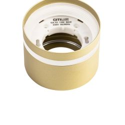 Citilux Hardy CL002C12 Светильник накладной Золото