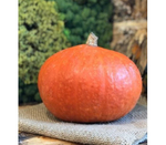 Тыква Русский Деликатес 3шт Ц Марс