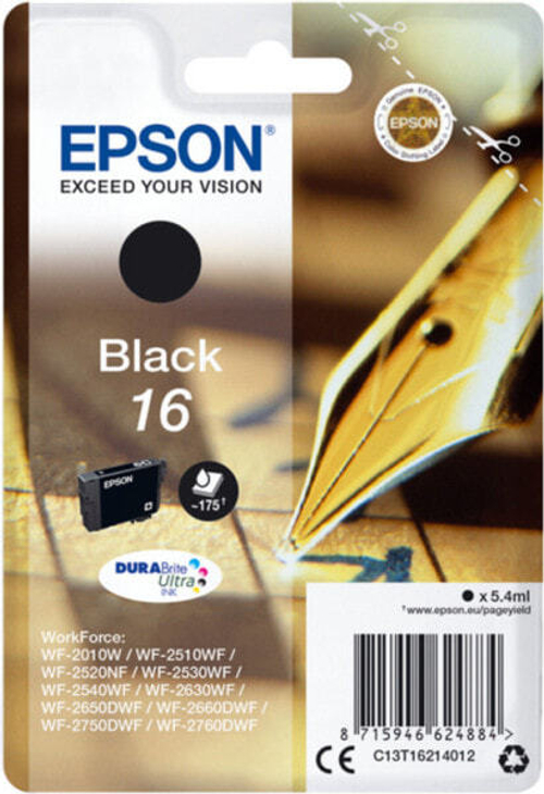 Картридж струйный черный 1 шт Epson T1621