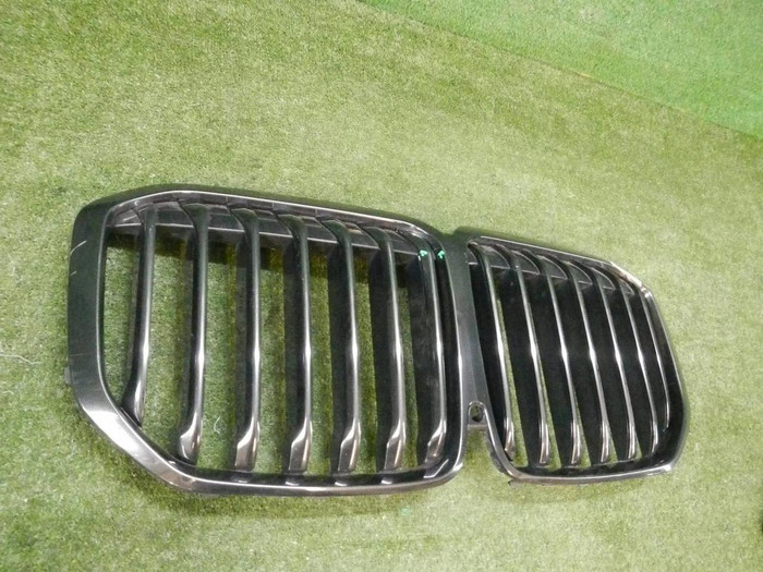 Решетка радиатора BMW X7 G07 (2019-2022)