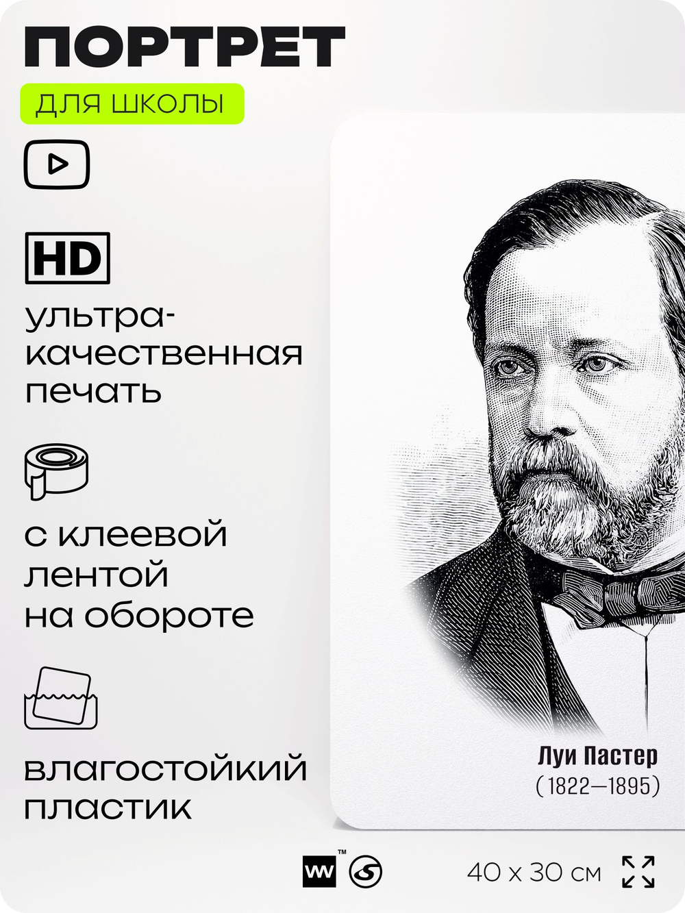 Портрет для школы в кабинет биологии "Луи Пастер", стенд школьный для класса, деятели науки для оформления классного уголка, 40х30 см, Silver Plane x Айдентика Технолоджи