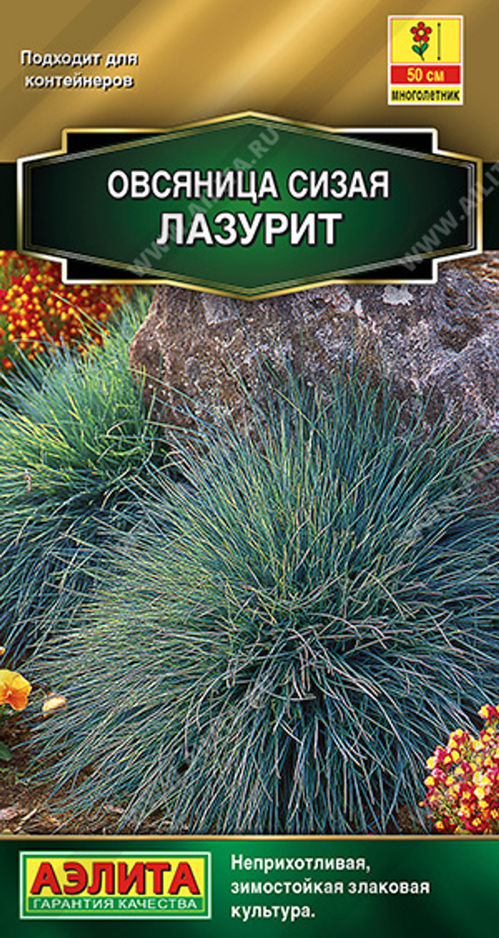 Овсяница Лазурит сизая 5шт Аэлита
