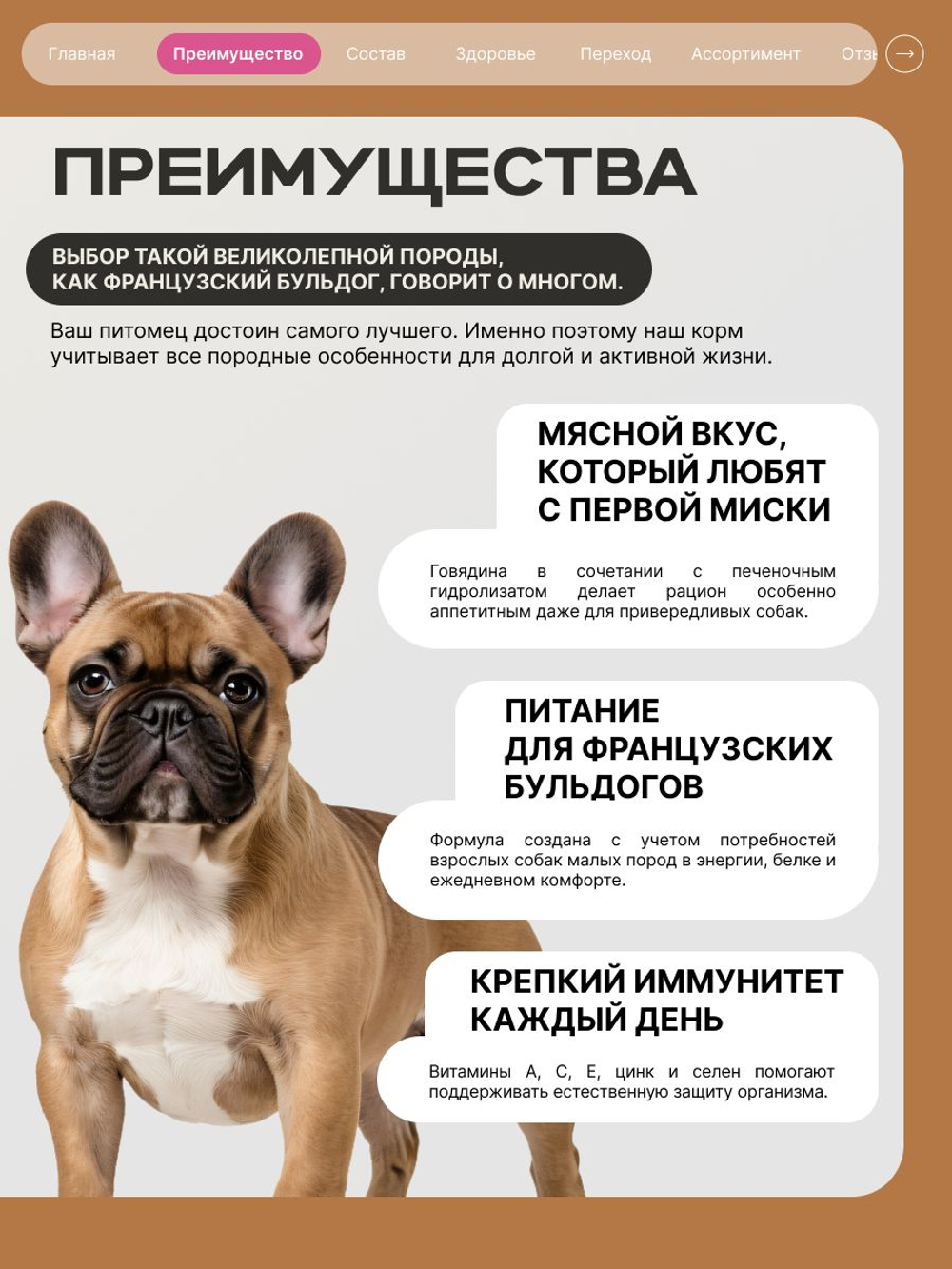 Корм сухой для взрослых собак породы Французский бульдог, с говядиной, 6 кг, QUATTRO