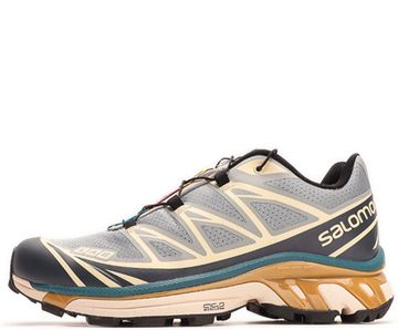 Кроссовки Salomon XT-6 GTX Bleached Sand/Cumin