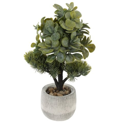 Цветочная композиция Бонсай