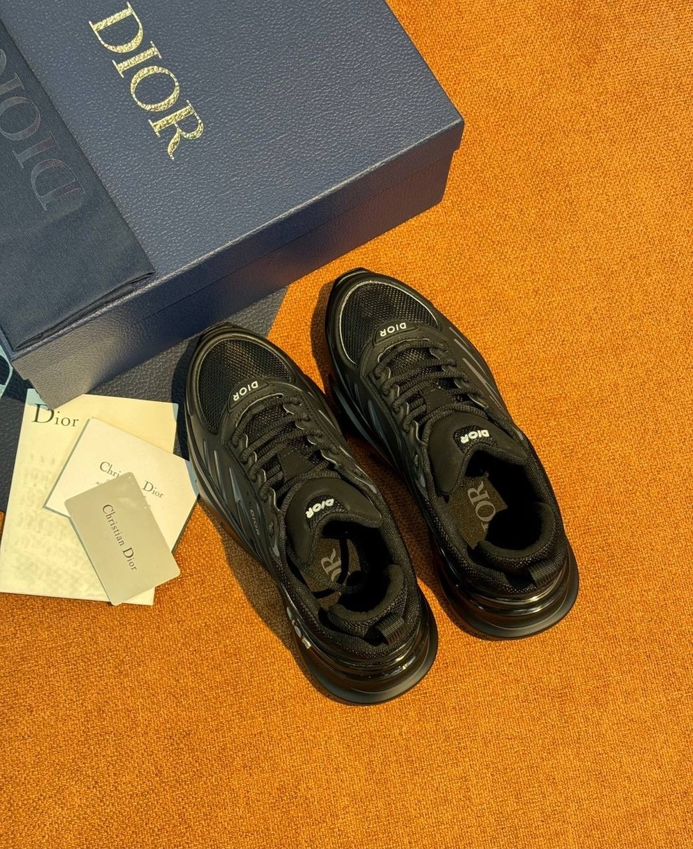 Кроссовки Christian Dior