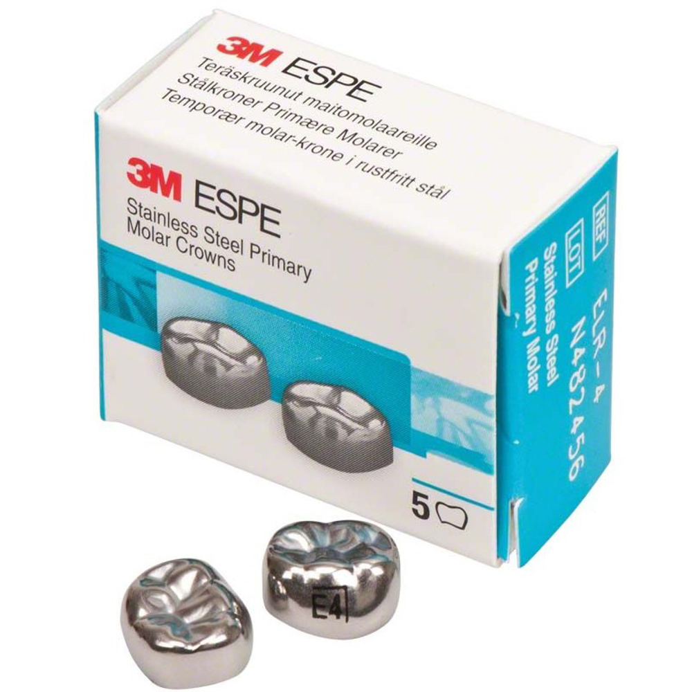 Второй нижний правый моляр, размер 4 (E-LR-4)