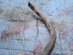 Стабилизатор передний Шкода Октавия А5 1.4 BUD Б/У