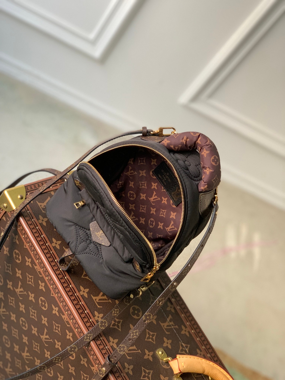 Louis Vuitton Pillow Palm Springs