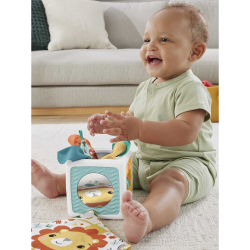 Коробка для детских салфеток-сортировщик Fisher-Price 2-в-1/ артикул HML64 / GTIN 194735130795
