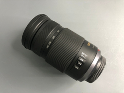 Panasonic Lumix G Vario 100-300 4.0-5.6 Mega O.I.S