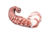 Щупальца осьминога замороженные~600г