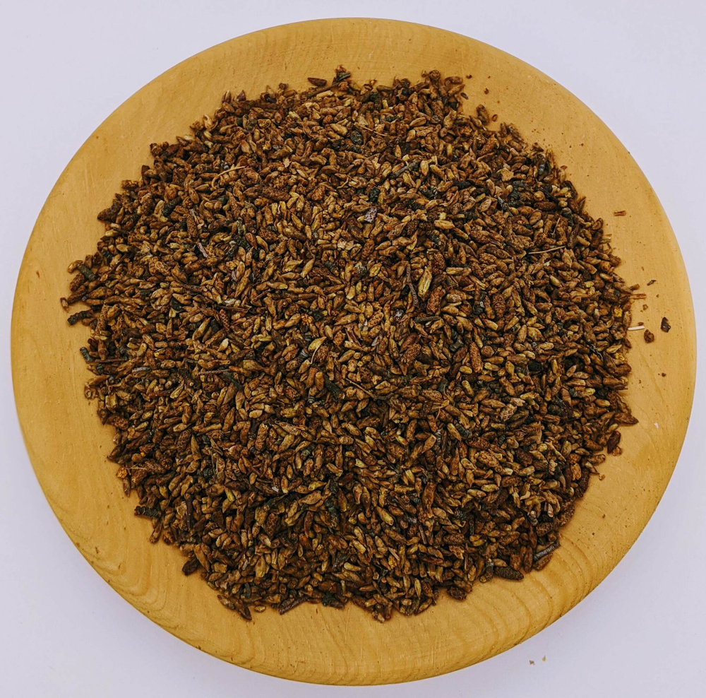 Берёзовые почки