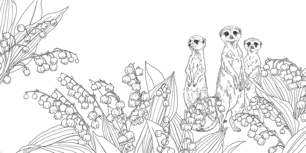 Gifts from animals Birth Moon Flower. Coloring Book