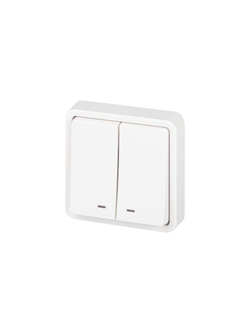 Выключатель Эксперт 11-1525-01 двойн. с подсветкой IP55 10АХ-250В СУ бел. Эра Б0063304
