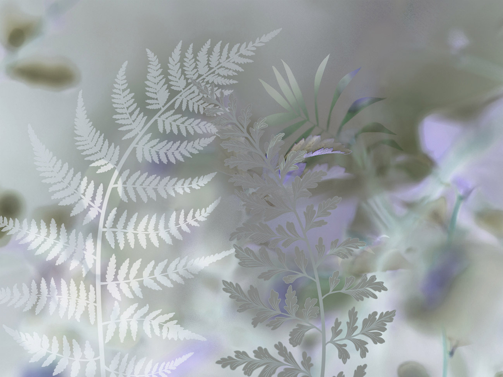 Дизайнерские обои Wall Street GreenDay-22