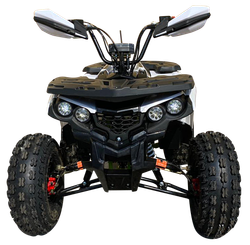 Квадроцикл YACOTA FUSION PRO 125 NEW