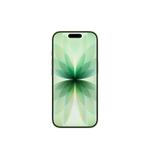 iPhone 17 256 ГБ, eSIM, Sage (Шалфей)