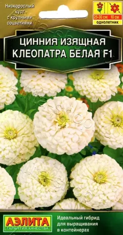 Цинния Клеопатра F1 белая 12шт (Аэлита)