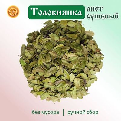 Толокнянка (лист)