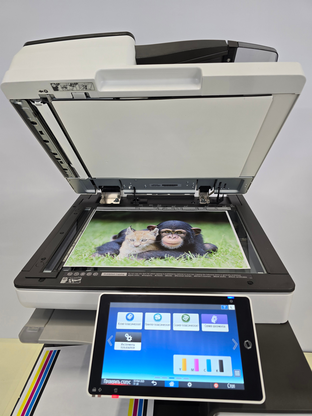 МФУ Ricoh IM C6000 (RMF)+ DADF + кассета 1x2000 (восстановленный)