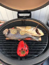 Керамический гриль Kamado Joe Classic II Stand-Alone, 46 см (красный)