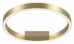 Накладной светильник Maytoni Rim MOD058CL-L25BSK