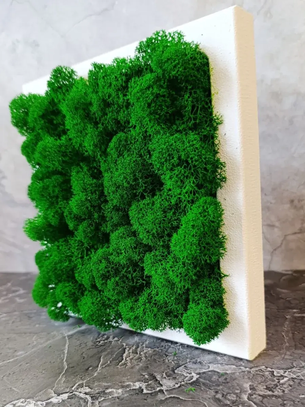 Панно из мха набор 3 шт.