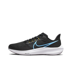 Мужские кроссовки Nike Air Zoom Pegasus 39 DH4071-002