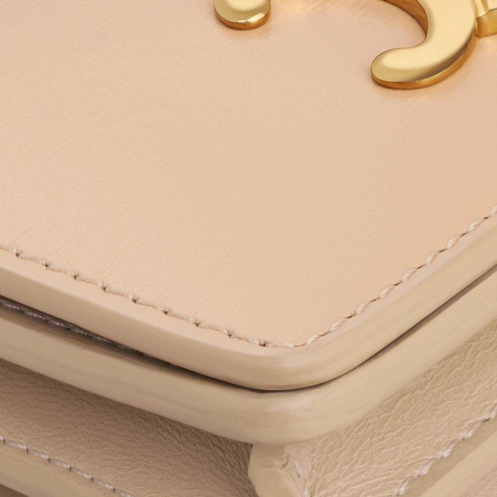 Картхолдеры и кошельки CELINE, 10M123FOZ-02EU