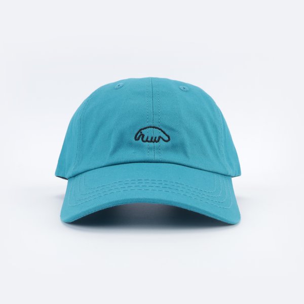 Кепка Anteater 6Panel (corsair) артикул: - купить в магазине Дайс
